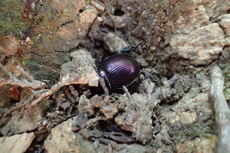 e0249878_23010423.jpg
