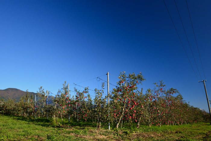 d0341880_08062084.jpg