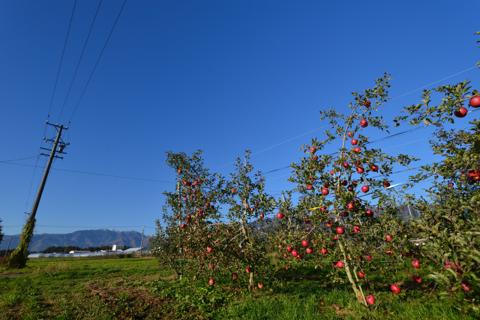 d0341880_08062929.jpg