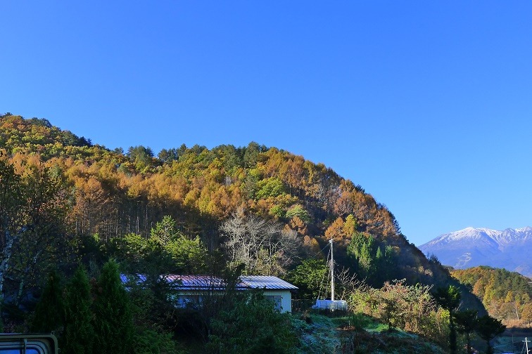a0130586_915020.jpg