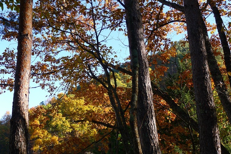 a0130586_933242.jpg