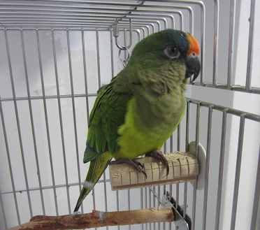 f0234590_94844.png
