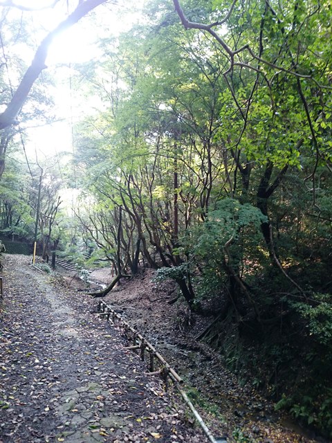 e0167593_2328535.jpg