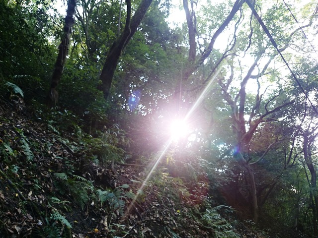 e0167593_2329971.jpg