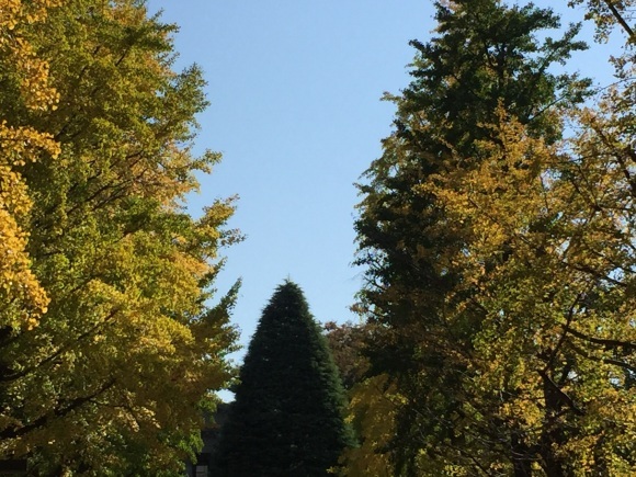 f0130894_21250112.jpg