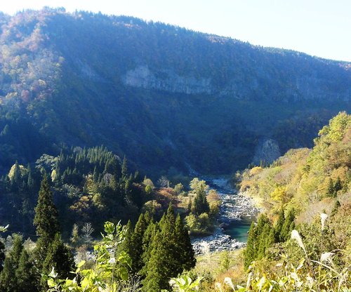 b0067795_18514985.jpg