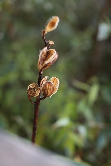 e0209997_10350738.jpg