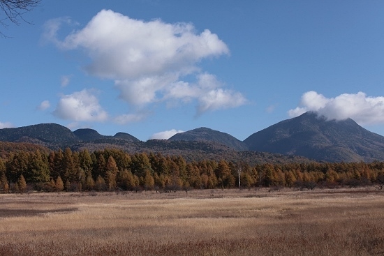 e0209997_10422253.jpg