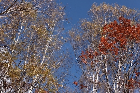 e0209997_16282549.jpg