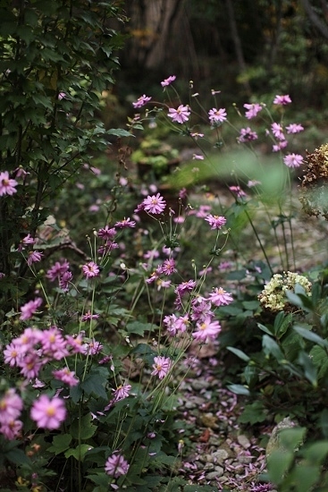 e0209997_20164772.jpg