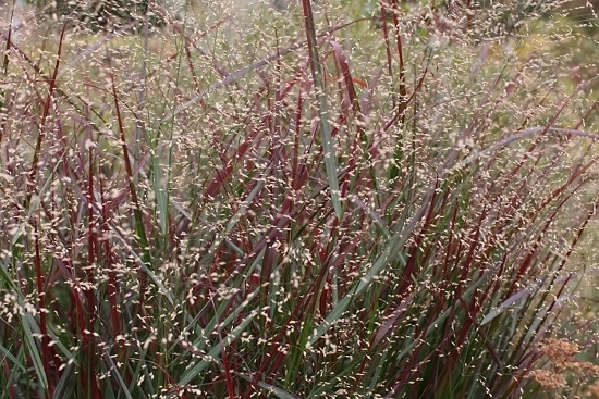 e0209997_20270585.jpg