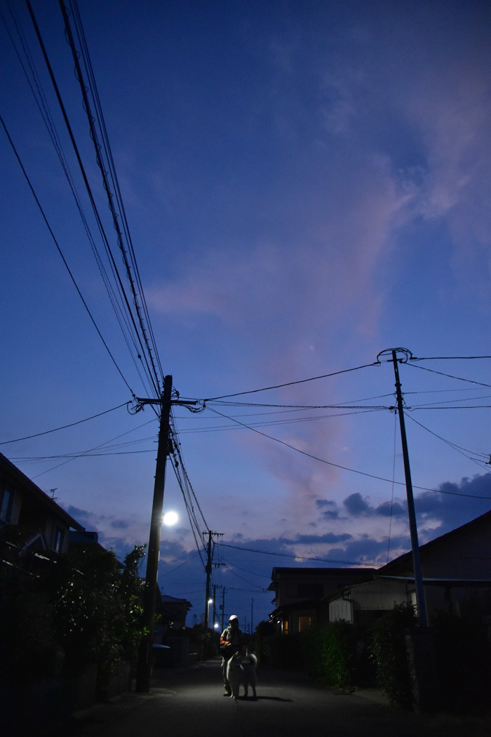 c0049299_21521825.jpg