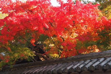 d0071507_05595767.jpg