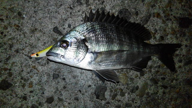 d0325609_17515458.jpg