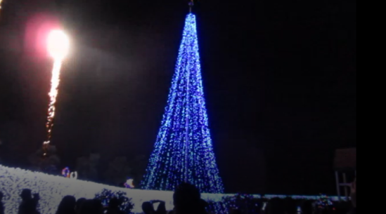 f0231709_026441.png