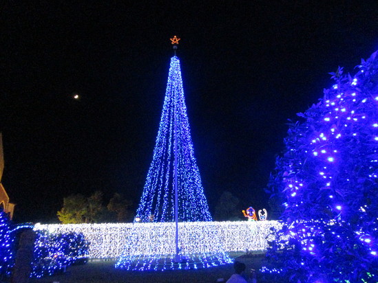 f0231709_049301.jpg