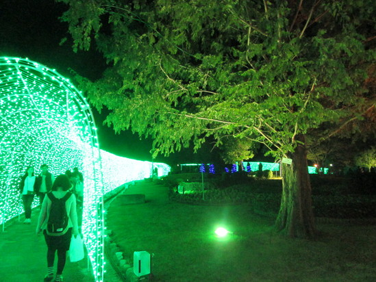 f0231709_051518.jpg