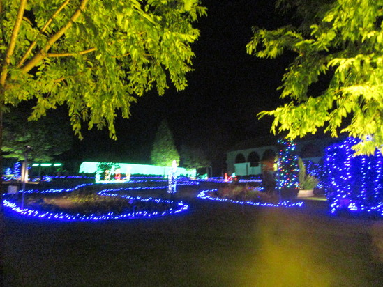 f0231709_192486.jpg
