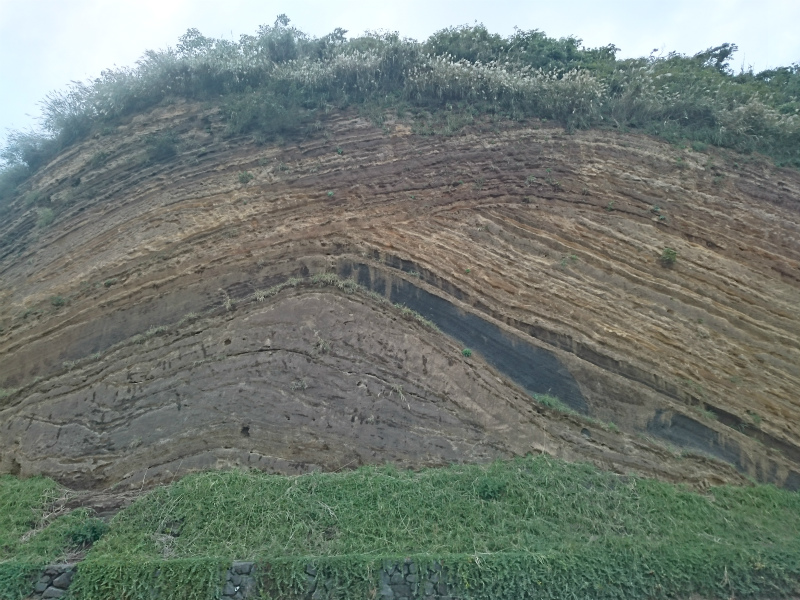 f0100911_22563169.jpg