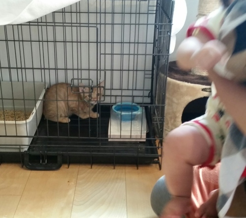 e0144012_15542156.jpeg