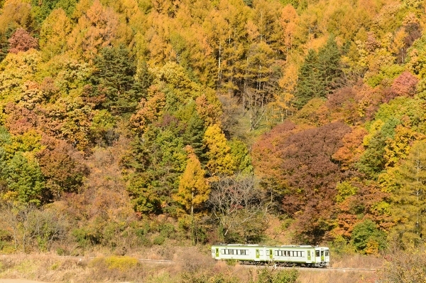 e0005714_22233894.jpg