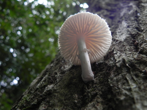 e0352220_21072696.jpg