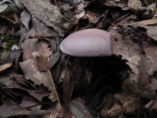 e0352220_21094425.jpg