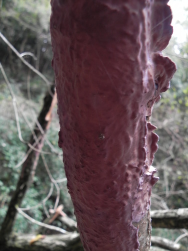 e0352220_21143172.jpg