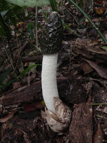 e0352220_21203352.jpg