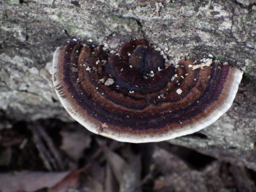 e0352220_21261821.jpg