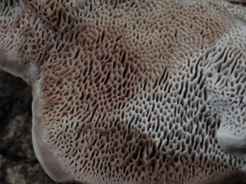 e0352220_21275443.jpg
