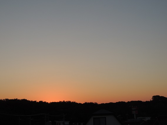 f0150620_8141479.jpg