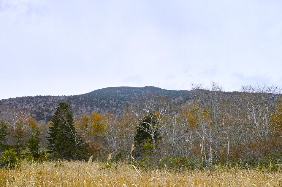 b0338222_09291571.jpg