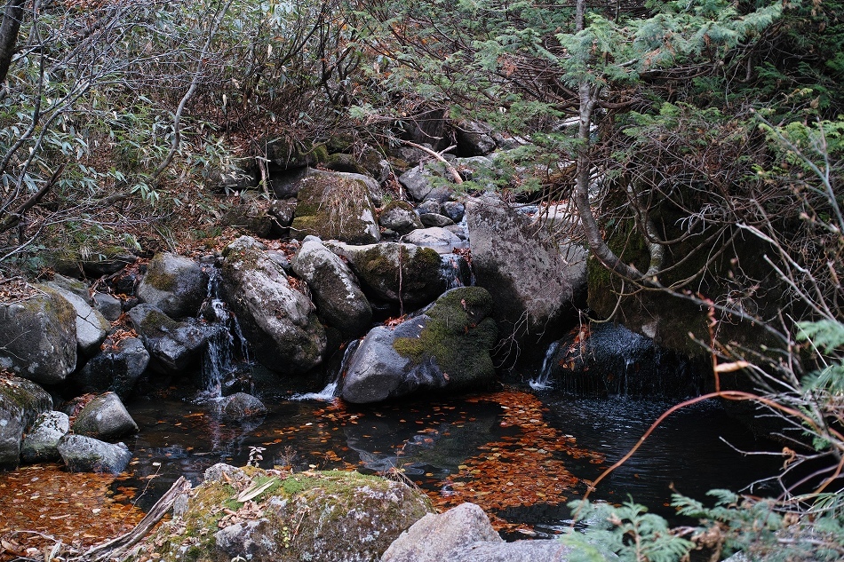 b0338222_09314893.jpg