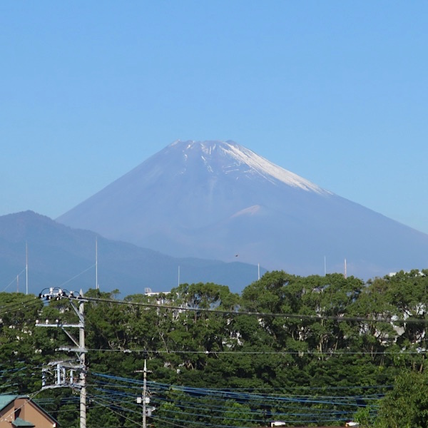 d0352628_16291531.jpg