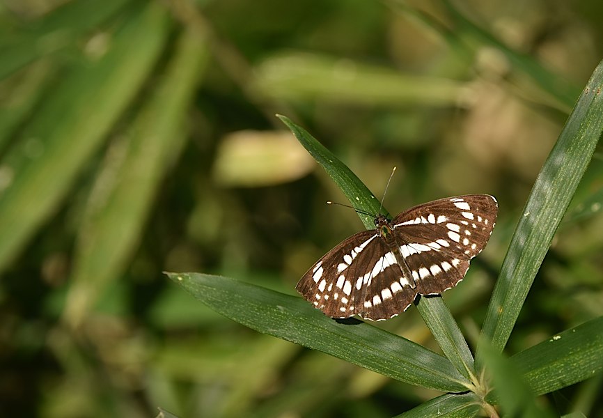 d0303129_3522827.jpg