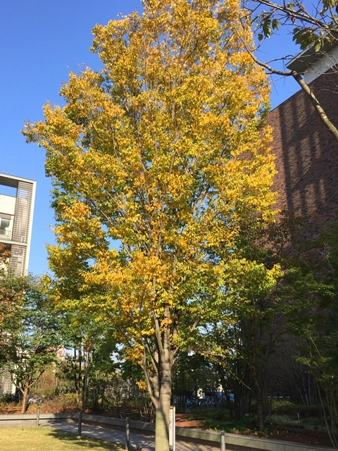 c0117831_18481258.jpg