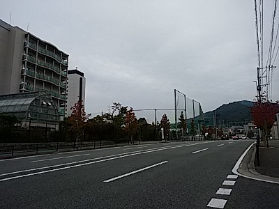 c0252332_15384346.jpg