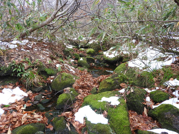 f0118332_23112651.jpg