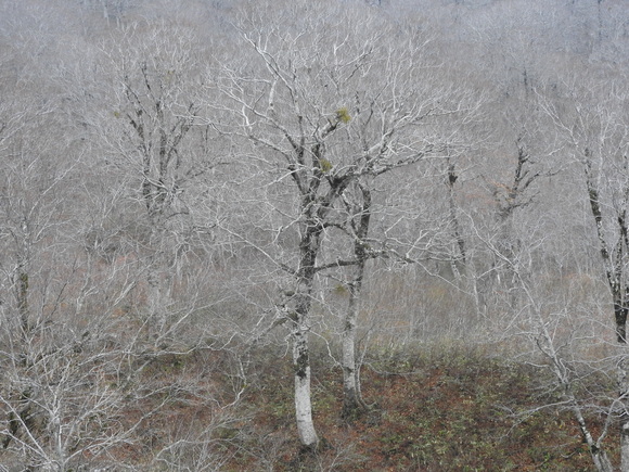 f0118332_23132849.jpg