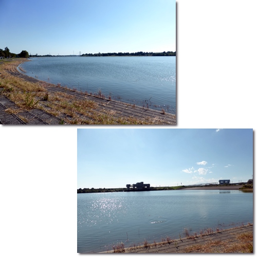 d0140133_9444251.jpg