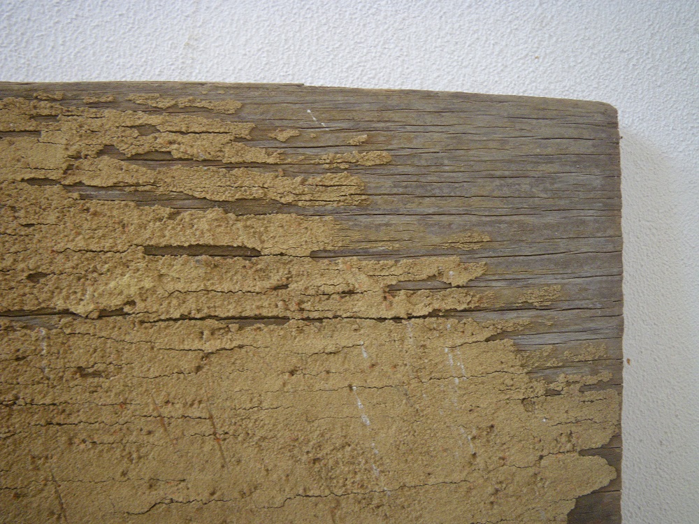 c0033636_2231292.jpg