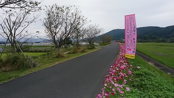 f0042737_8224854.jpg