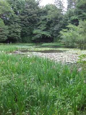 f0141840_03041039.jpg