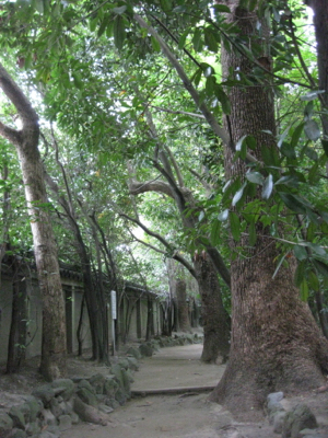 f0141840_03041593.jpg