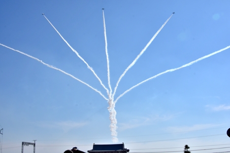 a0100742_828487.jpg