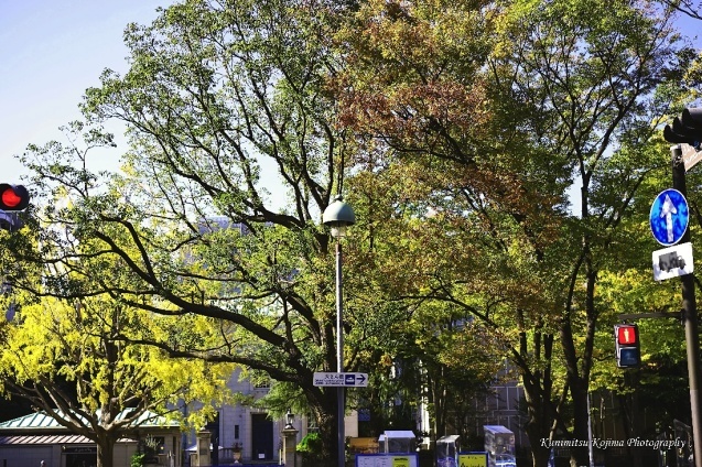 c0236843_16433706.jpg