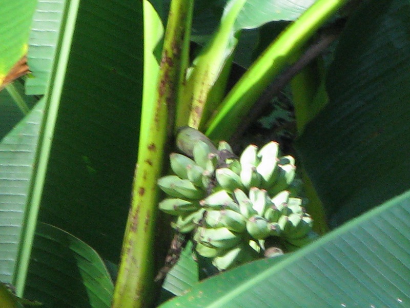 d0333943_16341449.jpg