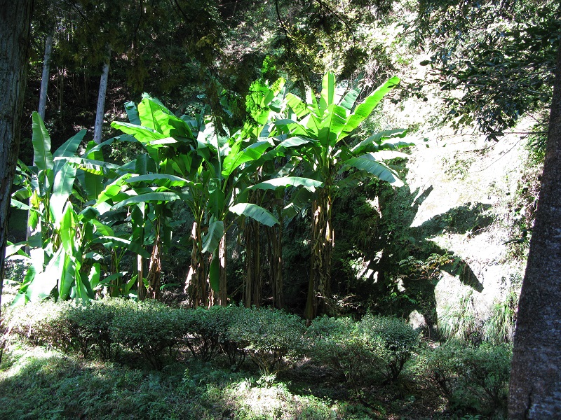 d0333943_16343839.jpg
