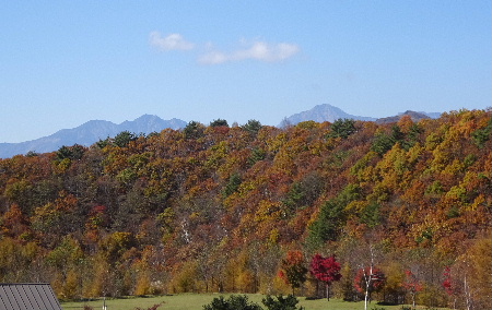 e0172950_19461175.jpg